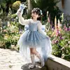 Vestido de menina, vestido de tule, vestido de princesa, vestido infantil Frozen Elsa Lolita, fantasia de apresentação