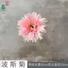 Flor Cosmos Haste Única Dália de Seda Flor Artificial Flor de Seda Margarida Africana Decoração para Casa Casamento Fotografia Arte Floral