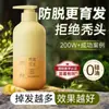 Champú de Jengibre Anticaída Personalizado OEM para Mejorar la Caída del Cabello, el Encrespamiento, el Control de Grasa y Champú Anticaída Procesamiento OEM