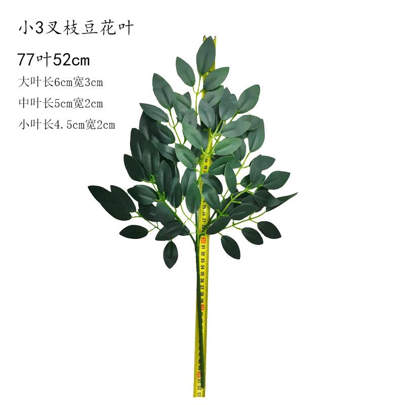 豆花叶19.jpg