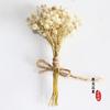 Mini Buquê de Flores Secas Cheio de Estrelas Flor Não Me Esqueças Buquê de Flor de Ponta de Dedo Presente de Natal Lembrança de Casamento Buquê