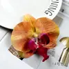 Flores Artificiales de Orquídea Phalaenopsis Floristería DIY Recuerdo de Boda Adorno Pequeño Pasador Decorativo Tocado Accesorio para Fotografía