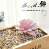 Suculentas Loto Goteando Suministros Creativos DIY Accesorios Pared de Plantas Flor de Plástico Venta Directa de Fábrica Jinhua Generación de una Pieza