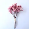 Flores Secas Transfronterizas, Gypsophila, Flores de Cristal, Mini Ramos, Ramos de Punta de Dedo Mezclados y Combinados, Cajas de Regalo, Decoraciones para Tarjetas de Felicitación