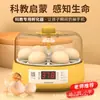 Venta directa desde el fabricante original para incubadoras pequeñas adecuadas para la eclosión de huevos de pollo y pájaro, exclusivamente para comercio exterior