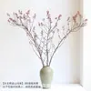 Fanático [Flor Eterna de Retorno à Montanha de Primeira Qualidade] Vento Suave Nórdico Flor Seca de Rosa Mosqueta Galho Seco