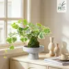 Musgo de Hera Nevado Bola de Musgo Hidropônica Planta Verde Folhagem Planta de Folha Verde Trepadeira Planta Verde em Vaso