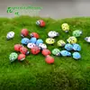 Micro paisaje micro paisaje decoración artesanía de madera escarabajo mariquita de siete estrellas mariquita pequeña accesorios DIY