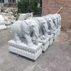 Escultura em Pedra Mármore Branco Par Companhia Villa Guardião de Porta Besta Divina Pedra Azul Elefante Absorvente de Água Novo Estilo Chinês