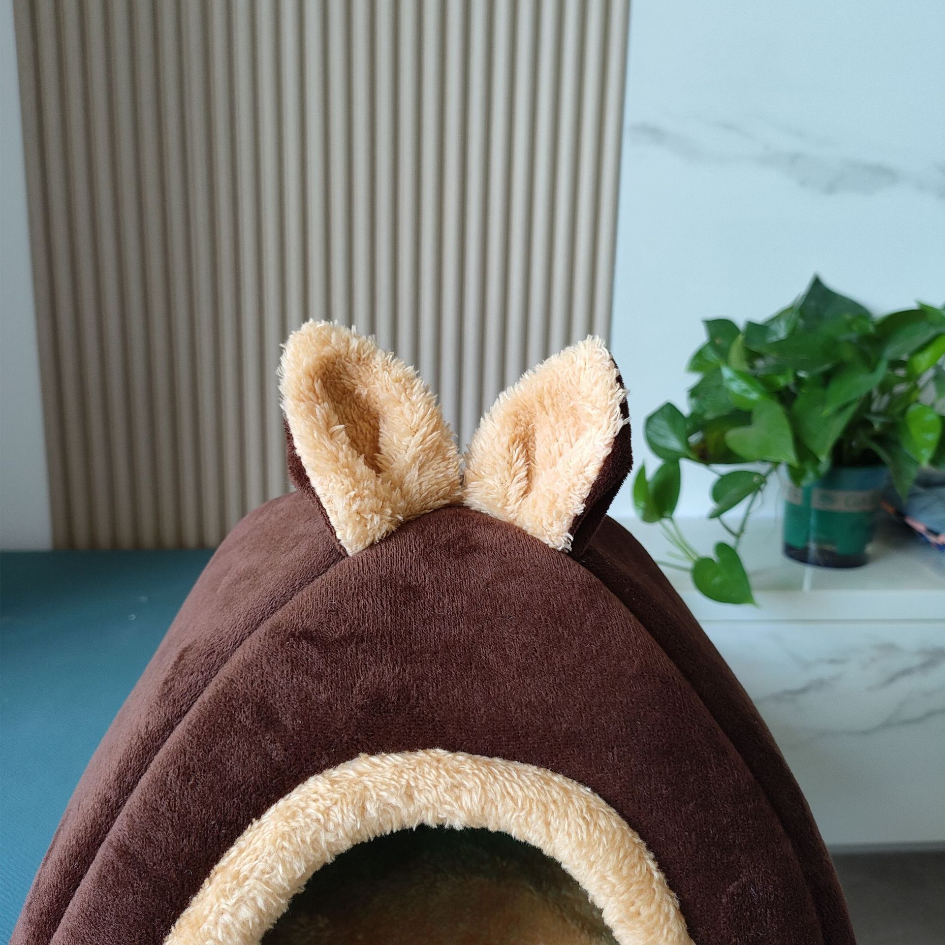 微信图片_20220819143449_副本_副本