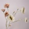 Flor de amapola, flor artificial, decoración Yu Meiren, flor falsa, modelo de sala de estar, arreglo floral, jarrón, decoración, decoración de mesa floral