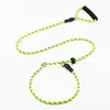 Guia de cachorro P-Chain refletiva anti-estouro personalizada para treinamento e passeios de cachorro, suprimentos para animais de estimação