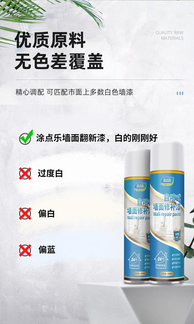 墙面翻新漆300ml_07