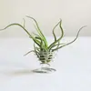 Soporte para Planta de Aire Soporte para Suculentas Base de Soporte para Planta de Aire Gancho para Planta en Maceta Decoración Jardinería Estante de 18 Colgadores