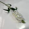 Flor de Jacinto de Haste Única para Arranjos Florais de Salão de Casamento, Decoração com Flores de Seda para Cenários de Casamento, Especialmente Projetado para Salões de Casamento, Disponível em 10 Cores