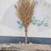 Escoba de Bambú y Mango de Madera de la Vieja Escuela, Herramienta de Saneamiento Integrada para Limpieza de Calles Exteriores, Venta al por Mayor desde el Fabricante