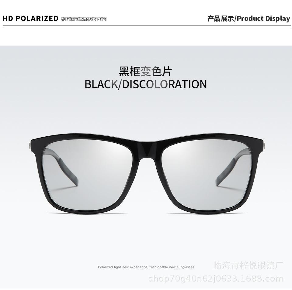 0733_10.jpg