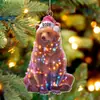 Amazon Nuevo 2026 Navidad Colgante Acrílico Animal Sombrero de Navidad Transfronterizo Decoración Árbol de Navidad Colgante Venta al por Mayor