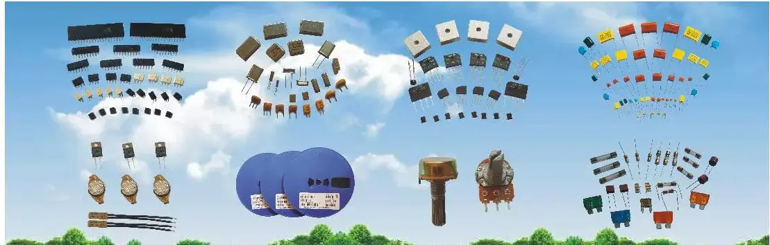 图片的 的
