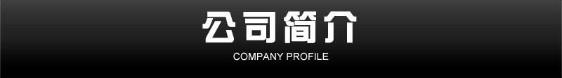 1公司简介