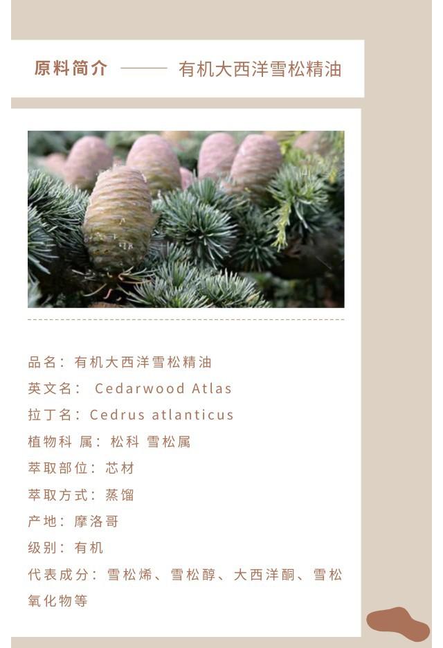 大西洋雪松精油.jpg