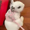 Cuerda de tracción Shiba Inu Cuerda Bichón Estilo chaleco Teddy Salidas pequeñas Suministros para gatos Perro pequeño Cuerda de tracción de encaje