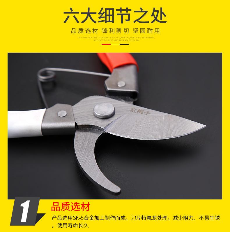详情-09.jpg