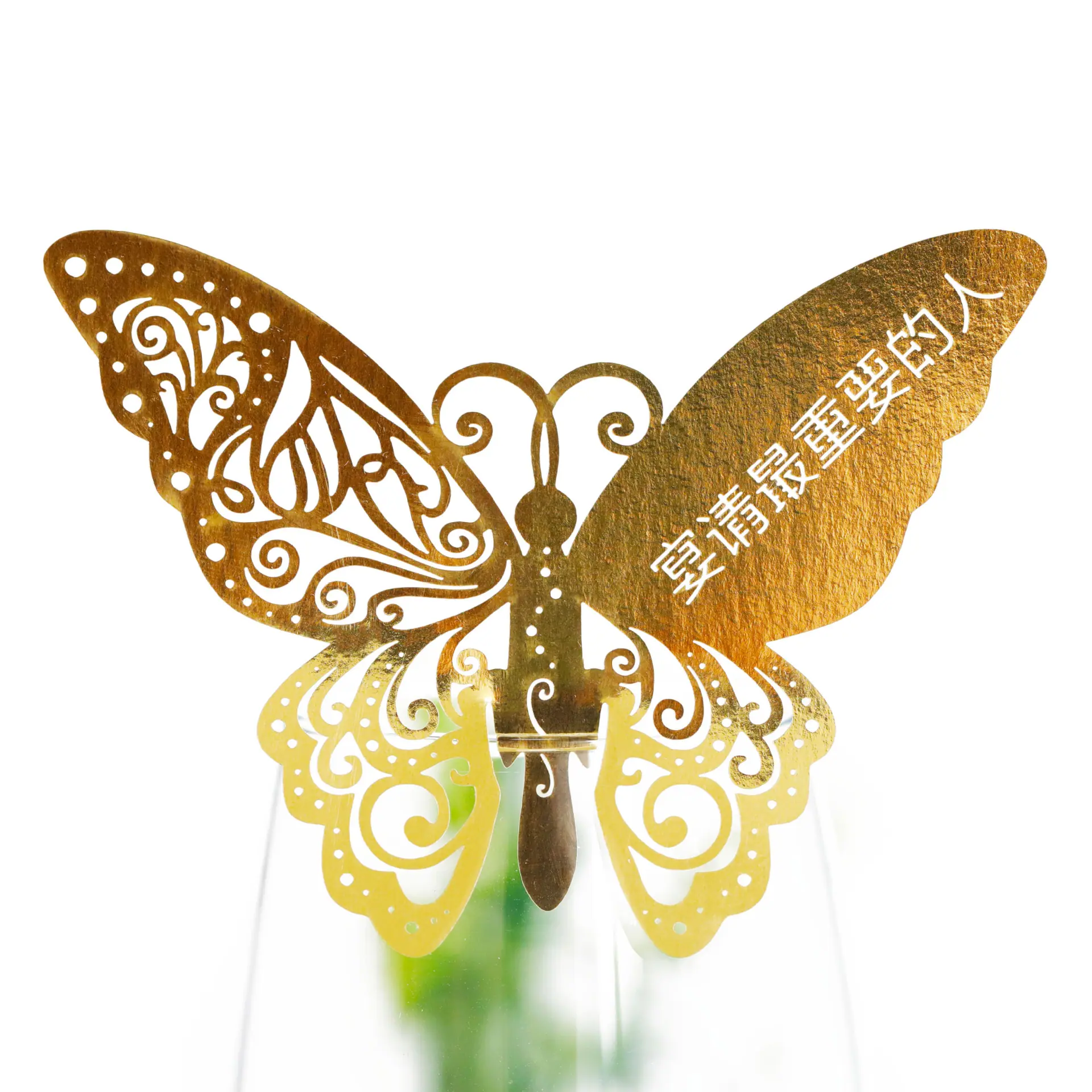 9R3A2963 反光金