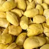 Almofada Dourada Premium Tailandesa com Polpa de Durian, Polpa de Durian Congelada com Sementes, Polpa de Durian Grau A para Uso Comercial, Matéria-Prima Crua Grau A no Atacado
