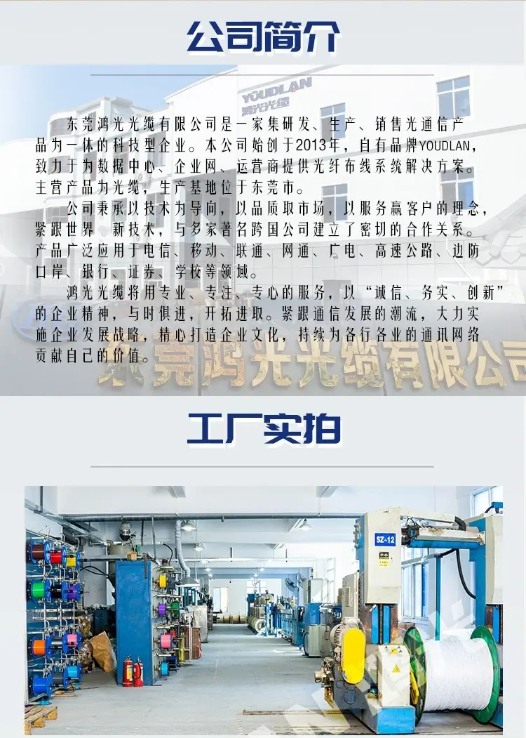 公司简介