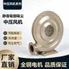 Ventilador de Média Pressão 220V Alta Potência Potente Extração de Fumaça a Laser para Marcenaria Máquina de Gravação Extração de Poeira Ventilador Centrífugo 380V