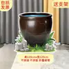 Héroe Lluvia Llega Sima Guang Rompe el Jarrón Atrezo Juego Fondo Tablero KT Guardería Bosque Árbol Grande Actuación Infantil Leide Zhu
