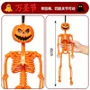 Esqueleto Humano Realista Transfronterizo de Halloween 40 cm Esqueleto Móvil para Montaje de Escena y Decoración