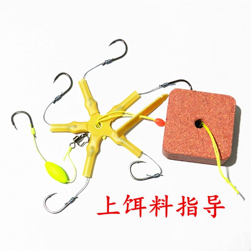 DSCN6461