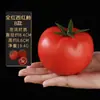 Modelo de espuma de vegetais e frutas pimenta cenoura pepino abóbora alho milho decoração material didático infantil