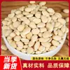 Feijão branco, cascas de feijão branco, sementes de feijão branco, feijão branco medicinal, sementes pequenas de feijão branco, produtos secos, cinco grãos, grãos diversos, feijões, materiais medicinais chineses, atacado