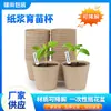 Vasos Redondos para Plántulas, Macetas para Plantar Flores, Macetas de Papel Biodegradable Desechables, Excelentes Vasos para Plántulas, Vasos Nutritivos, Vasos de Nutrición para Plántulas