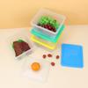Caja Transparente de Polipropileno para Conservar Fresco, Sellada y a Prueba de Olores, Caja de Almacenamiento de Frutas y Alimentos, Caja de Almacenamiento en Refrigerador para Conservar Fresco