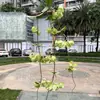 Fabricante de Flores Artificiales para Bodas Verdes Hortensia Verde Rosa Rocío de Golondrina Loto Bola de Cebolla Decoración Suave para Bodas Flor Artificial al por Mayor