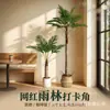 Planta artificial de palma areca de alta gama en maceta grande para decoración de sala de estar en interiores junto al sofá, planta verde artificial, árbol falso, en stock para entrega rápida