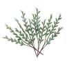 Planta Artificial Ramas de Agujas de Pino Artificiales 30cm Ramas de Agujas de Pino Tridimensionales Accesorios de Decoración Artesanal Navideña