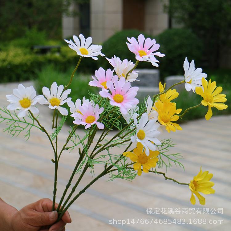 1主图 林溪郡.JPG