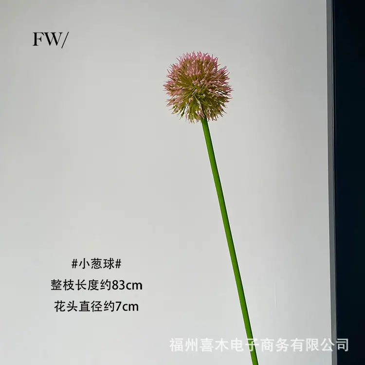 photo-output_3 拷贝.jpg
