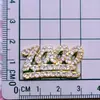 Números de Pedrería Coloridos 100, Cisne, Flor, Abeja, Dijes DIY para Zapatos, Decoraciones para Fundas de Teléfono, Pinzas para el Cabello, Accesorios de Plástico para Ropa