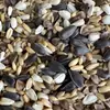 Pájaro Monje Sol loro Comida para Pájaros Alimento Especial Monje para Pájaros Comida Mixta Cinco en Uno Semilla para Pinzón