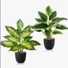 Amazon Plantas Verdes Simuladas Perennes En Maceta Flores de Plástico Adornos Decorativos de Pie para Escritorio en Casa Plantas Verdes Falsas