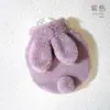 Versión coreana de bolsa de agua caliente de peluche de conejo número grande bolsa de agua caliente de PVC inyección de agua compresa caliente fuente de calor para manos punto venta caliente transfronteriza