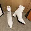 Botines de Tacón Alto para Mujer 2025 Otoño e Invierno Nuevos Estilo Coreano Cremallera Punta Fina Botas de Mujer Versátiles de Moda Botas Martin Zapatos de Mujer