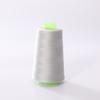 Linha de Costura Plana para Bordado, Colorida 3000 Jardas, Linha Pagode 40/2 para Vestuário, Linha Overlock, Linha para Máquina de Costura, Acessórios