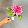 Dália Única Simulada Cabeça de Flor para Exportação de Casamento Cabeça de Flor Grande para Fotografia ao Ar Livre de Casamento Cruzamento de Fronteira Lihua